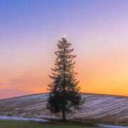 ヒメ日記 2024/12/27 14:36 投稿 ちい 治療院.LOVE 宇都宮店