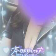 ヒメ日記 2025/02/16 13:12 投稿 ちい 治療院.LOVE 宇都宮店