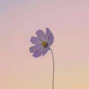 ヒメ日記 2025/02/20 19:57 投稿 ちい 治療院.LOVE 宇都宮店