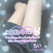 ヒメ日記 2025/04/26 13:12 投稿 ちい 治療院.LOVE 宇都宮店