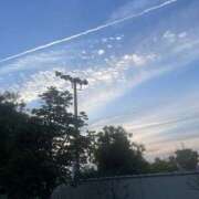 ヒメ日記 2025/06/24 11:21 投稿 ちい 治療院.LOVE 宇都宮店