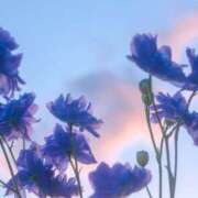 ヒメ日記 2025/07/01 14:36 投稿 ちい 治療院.LOVE 宇都宮店