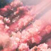 ヒメ日記 2025/07/06 01:12 投稿 ちい 治療院.LOVE 宇都宮店