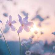 ヒメ日記 2025/08/01 11:33 投稿 ちい 治療院.LOVE 宇都宮店