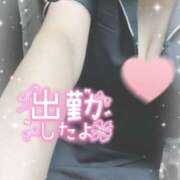 ヒメ日記 2025/08/27 12:21 投稿 ちい 治療院.LOVE 宇都宮店