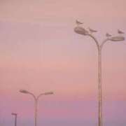 ヒメ日記 2025/09/10 20:36 投稿 ちい 治療院.LOVE 宇都宮店