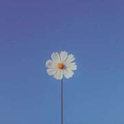 ヒメ日記 2025/09/11 09:12 投稿 ちい 治療院.LOVE 宇都宮店