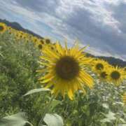 ヒメ日記 2025/09/12 09:42 投稿 ちい 治療院.LOVE 宇都宮店