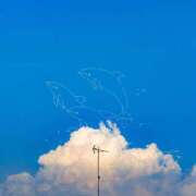 ヒメ日記 2025/09/14 19:51 投稿 ちい 治療院.LOVE 宇都宮店