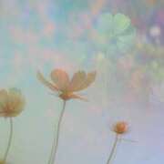 ヒメ日記 2025/09/22 09:48 投稿 ちい 治療院.LOVE 宇都宮店