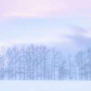 ヒメ日記 2026/02/08 07:42 投稿 ちい 治療院.LOVE 宇都宮店