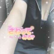 ヒメ日記 2026/02/25 15:36 投稿 ちい 治療院.LOVE 宇都宮店