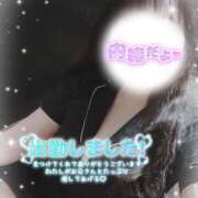 ヒメ日記 2026/02/26 15:42 投稿 ちい 治療院.LOVE 宇都宮店