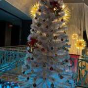 ヒメ日記 2024/12/22 18:33 投稿 あやね 治療院.LOVE 宇都宮店