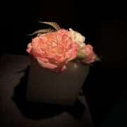 ヒメ日記 2025/08/09 19:51 投稿 あやね 治療院.LOVE 宇都宮店