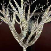 ヒメ日記 2025/10/11 10:42 投稿 あやね 治療院.LOVE 宇都宮店