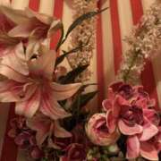 ヒメ日記 2025/11/03 19:48 投稿 あやね 治療院.LOVE 宇都宮店