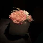 ヒメ日記 2025/12/29 22:33 投稿 あやね 治療院.LOVE 宇都宮店