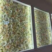 ヒメ日記 2026/07/11 21:27 投稿 あやね 治療院.LOVE 宇都宮店