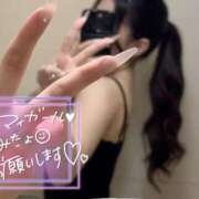 ヒメ日記 2025/11/13 14:11 投稿 ケリー Evolution1st キタ兎我野店