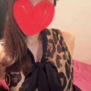 ヒメ日記 2025/06/15 01:58 投稿 きらら ゴールドクイーン