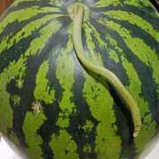 ヒメ日記 2025/04/16 11:21 投稿 やよい 熟女の風俗最終章 相模原店