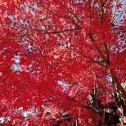 ヒメ日記 2025/11/20 08:50 投稿 やよい 熟女の風俗最終章 相模原店