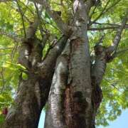 ヒメ日記 2025/05/16 10:01 投稿 やよい 熟女の風俗最終章 町田店