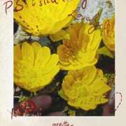 ヒメ日記 2026/02/22 09:00 投稿 やよい 熟女の風俗最終章 町田店