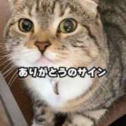 ヒメ日記 2024/12/28 18:03 投稿 サツキさん ラバーズリアリティクラブ ブリリアントガールズ