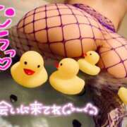 ヒメ日記 2025/01/20 08:37 投稿 サツキさん ラバーズリアリティクラブ ブリリアントガールズ