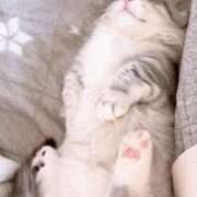 ヒメ日記 2025/03/07 16:01 投稿 サツキさん ラバーズリアリティクラブ ブリリアントガールズ