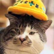 ヒメ日記 2025/03/20 22:00 投稿 サツキさん ラバーズリアリティクラブ ブリリアントガールズ