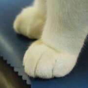 ヒメ日記 2025/04/18 18:02 投稿 サツキさん ラバーズリアリティクラブ ブリリアントガールズ