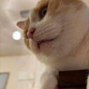 ヒメ日記 2025/04/22 15:01 投稿 サツキさん ラバーズリアリティクラブ ブリリアントガールズ