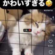 ヒメ日記 2025/06/25 13:01 投稿 サツキさん ラバーズリアリティクラブ ブリリアントガールズ