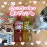 ヒメ日記 2025/07/15 07:21 投稿 サツキさん ラバーズリアリティクラブ ブリリアントガールズ