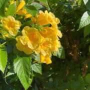 ヒメ日記 2024/12/16 16:10 投稿 はな 奥様鉄道69 岡山店