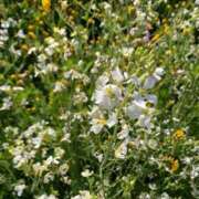 ヒメ日記 2025/03/05 13:11 投稿 はな 奥様鉄道69 岡山店