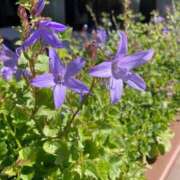 ヒメ日記 2025/03/19 13:06 投稿 はな 奥様鉄道69 岡山店