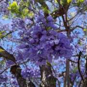 ヒメ日記 2025/07/06 23:59 投稿 はな 奥様鉄道69 岡山店