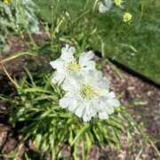 ヒメ日記 2025/09/27 15:39 投稿 はな 奥様鉄道69 岡山店