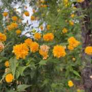 ヒメ日記 2025/12/14 12:23 投稿 はな 奥様鉄道69 岡山店