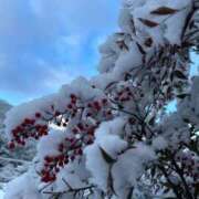 ヒメ日記 2026/01/10 14:19 投稿 はな 奥様鉄道69 岡山店