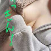 ヒメ日記 2025/04/15 11:23 投稿 れお ちゃんこ千葉東金店