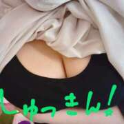 ヒメ日記 2025/04/20 11:25 投稿 れお ちゃんこ千葉東金店