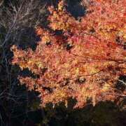 ヒメ日記 2025/11/28 23:44 投稿 れお ちゃんこ千葉東金店