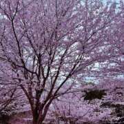 ヒメ日記 2025/04/09 00:13 投稿 みう マリン千葉店