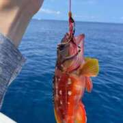 ヒメ日記 2025/02/20 18:31 投稿 ののか 秋葉原コスプレ学園(AKG)