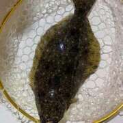 ヒメ日記 2025/02/20 18:51 投稿 ののか 秋葉原コスプレ学園(AKG)